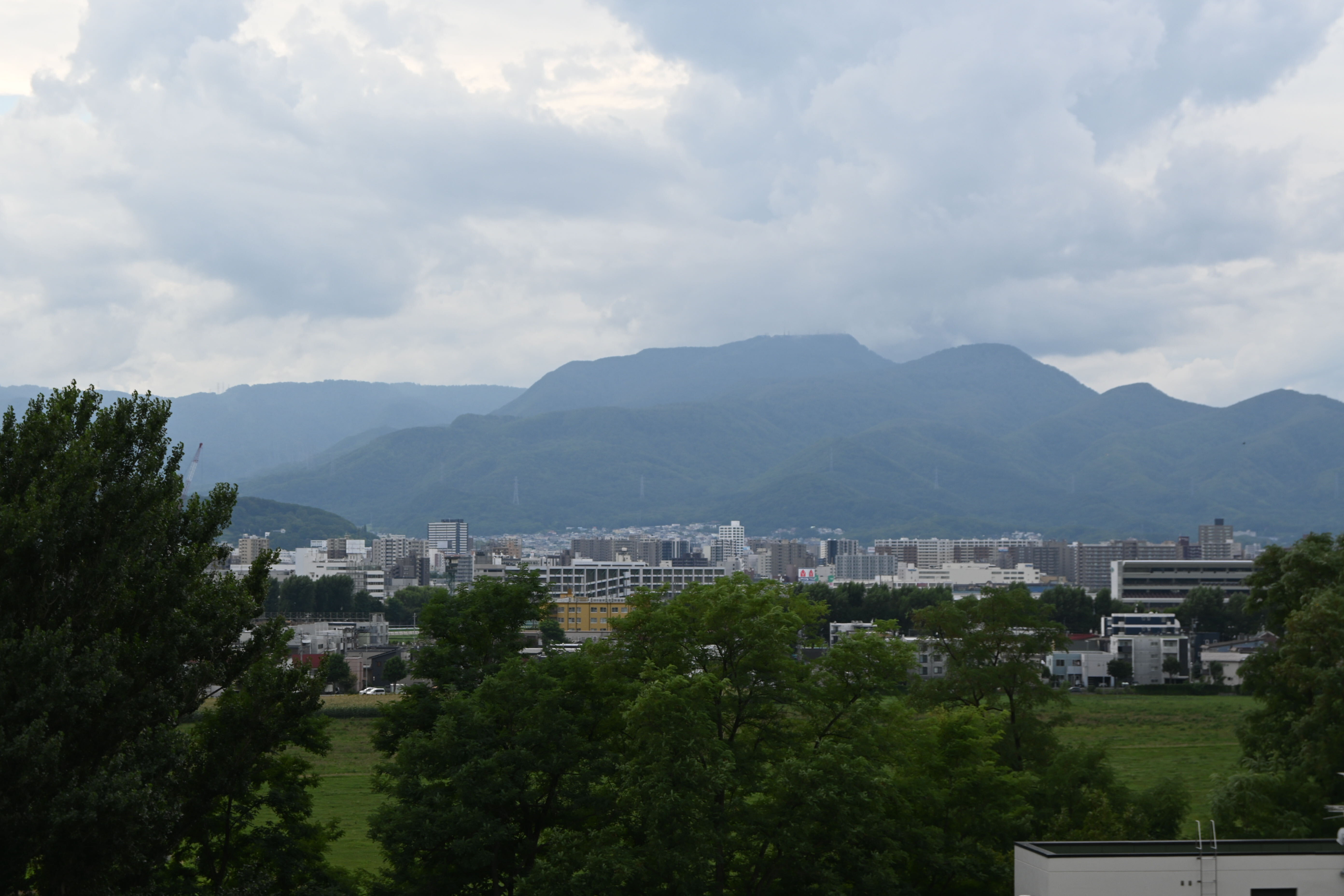 北海道大学